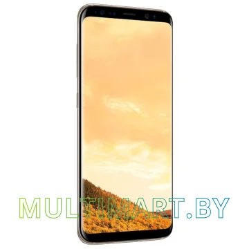 Смартфон Samsung Galaxy S8+ Dual SIM 64GB (желтый топаз) картинка 4